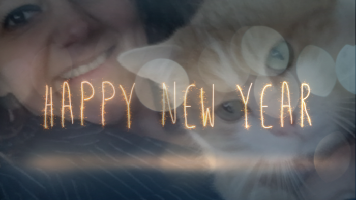 Auf dem Bild sieht man den Satz „Happy New Year“ und im Hintergrund eine Frau mit ihrer rotweißen Katze sowie viele Lichter