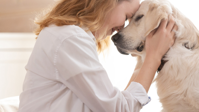 Auf dem Bild sieht man eine blonde Frau mit weißer Bluse, die ihre Nase an die Schnauze ihres Golden Retriever drückt. ein Bild inniger Liebe und Verbundenheit