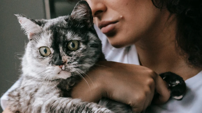 Auf dem Bild sieht man eine Frau mit einer Katze auf dem Arm. Sie schenkt sich Selbstmitgefühl in der Trauer um ihr geliebtes Tier.