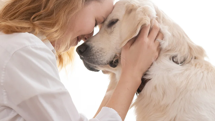 Auf dem Bild sieht man eine Frau im Gespräch mit ihrem Hund, denn nur dein Herz kennt die Antworten auf die Fragen an dein Tier